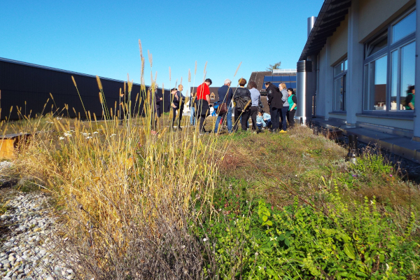 Blühende-Dächer-VLBG-Praxiskurs_c-pulswerk_600x400