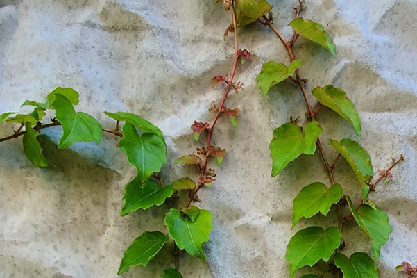 Naturnahes Bauen öff Gebäude VBG 600x400px