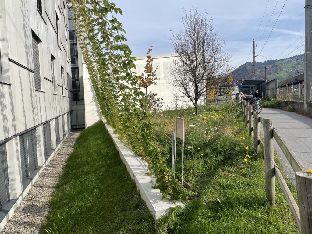 Kaplann-Bonetti_Fassade_c-pulswerk