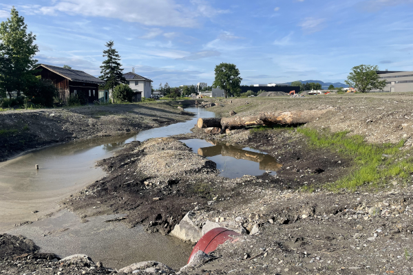 Lustenau-Heitere_c-pulswerk