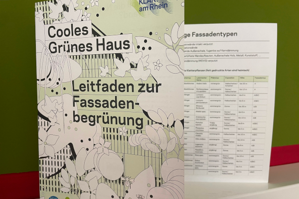 Leitfaden zur Fassadenbegrünung_600x400_c-pulswerk